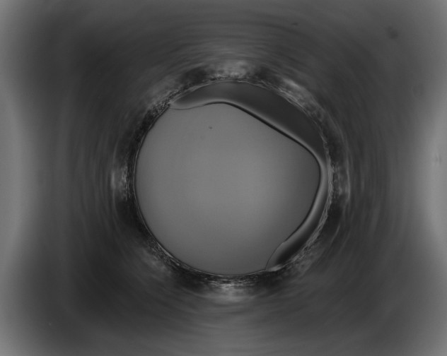 X0000086020564200704131852