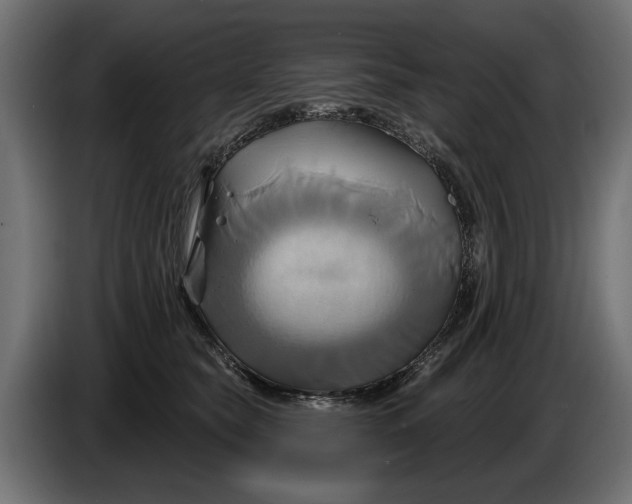 X0000086020565200704131852