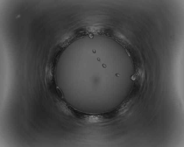 X0000086020566200704131852