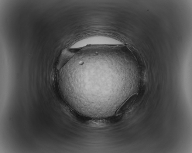 X0000086020567200704131852