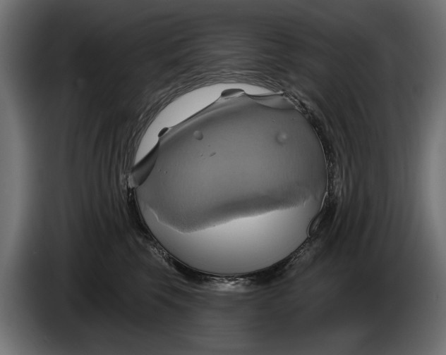 X0000086020569200704131852
