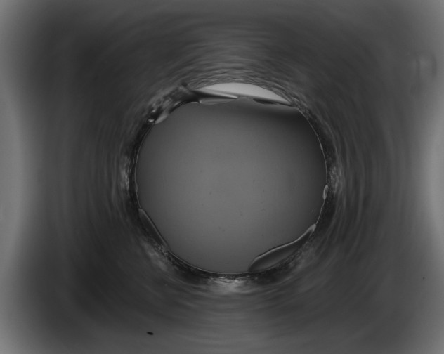 X0000086020570200704131852