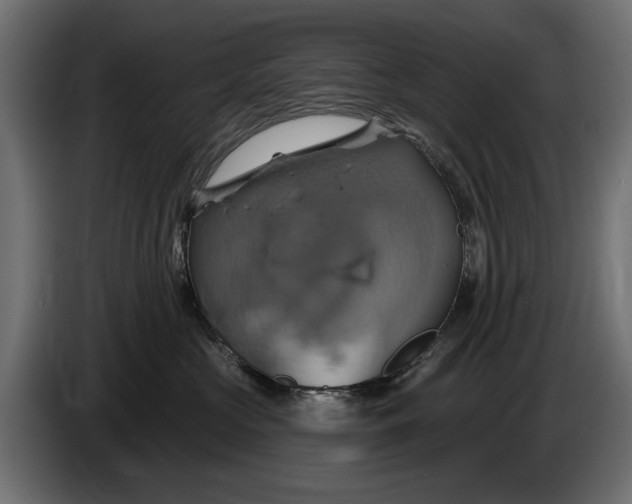 X0000086020573200704131852