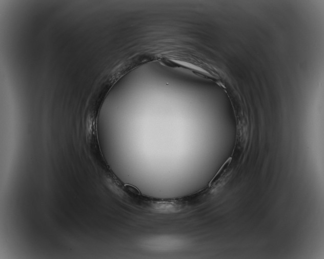 X0000086020574200704131852