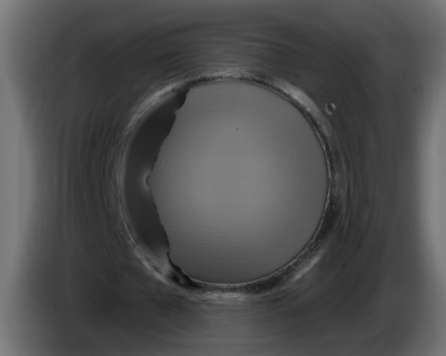 X0000086020577200704131852
