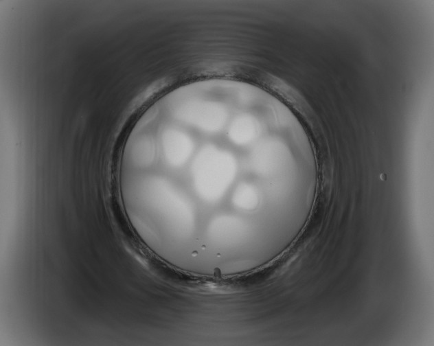 X0000086020578200704131852