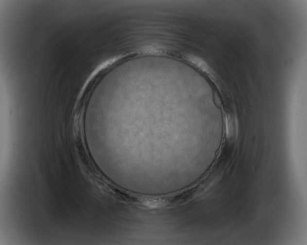 X0000086020579200704131852