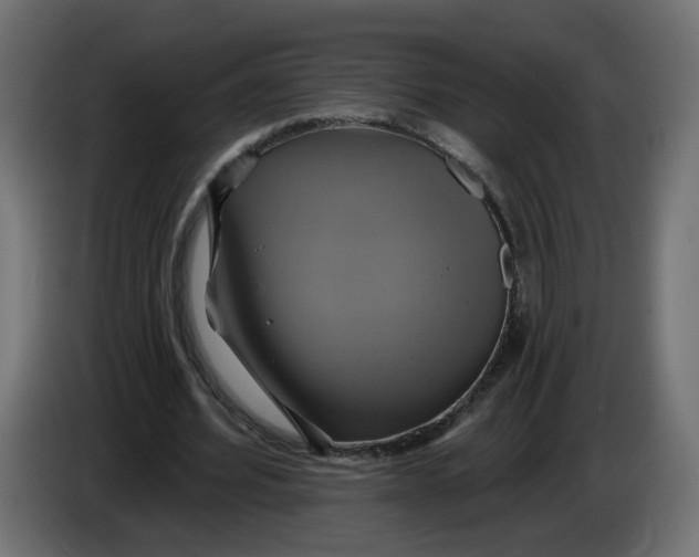 X0000086020580200704131852