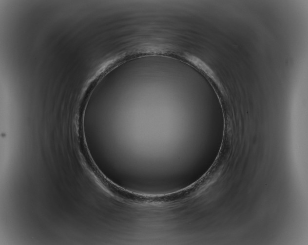 X0000086020581200704131852