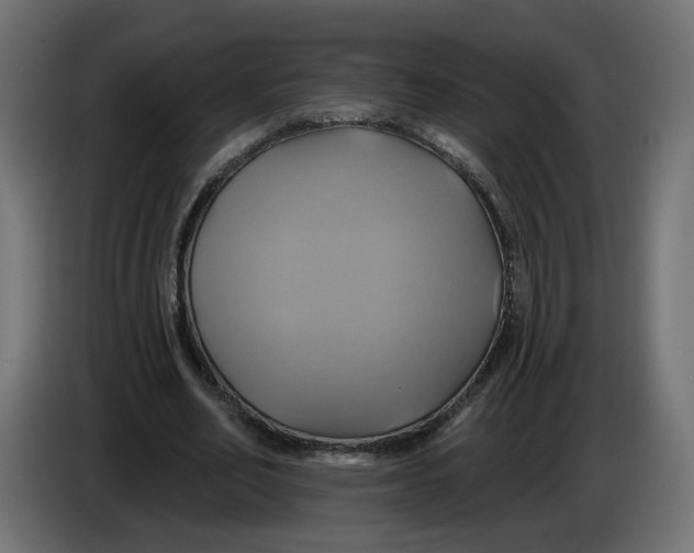 X0000086020582200704131852