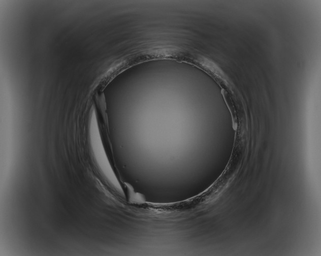 X0000086020585200704131852