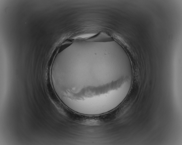 X0000086020586200704131852