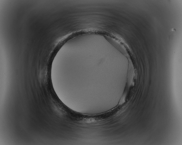X0000086020588200704131852
