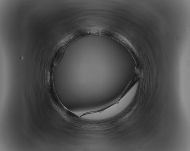 X0000086020589200704131852