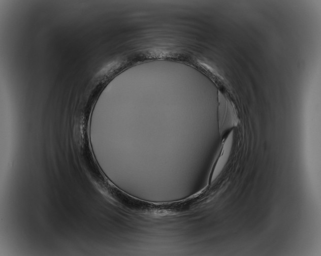 X0000086020590200704131852