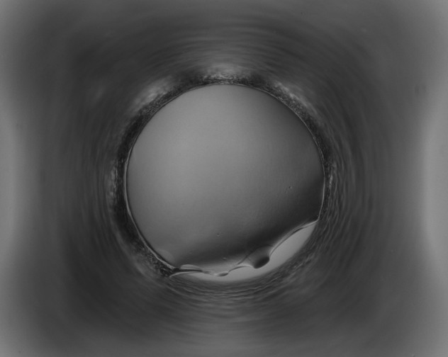 X0000086020591200704131852