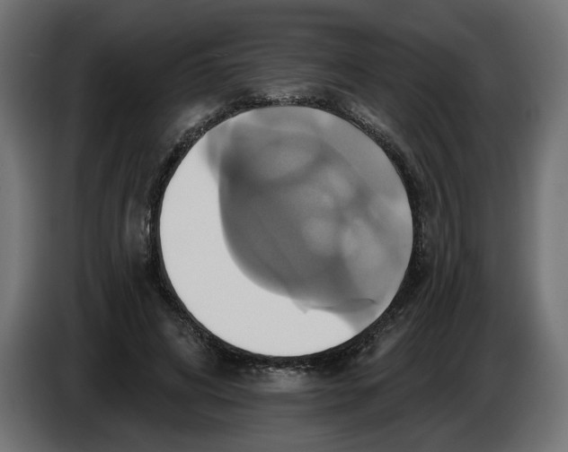 X0000086020592200704131852