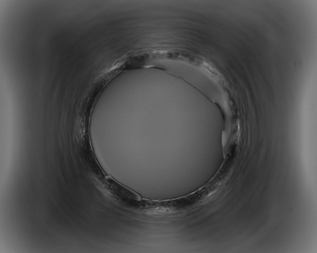 X0000086020593200704131852