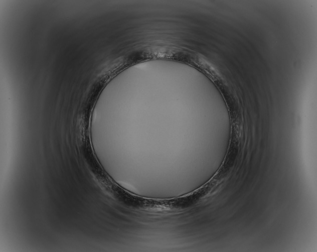 X0000086020594200704131852