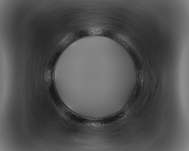 X0000086020598200704131851