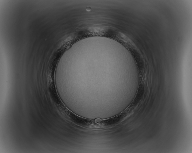 X0000086020599200704131851