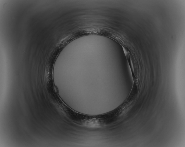 X0000086020600200704131851