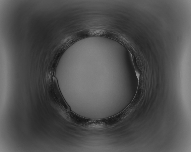 X0000086020601200704131851