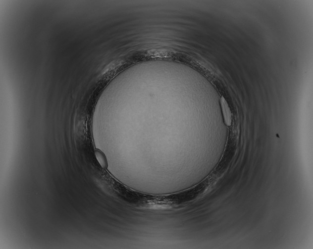 X0000086020603200704131851
