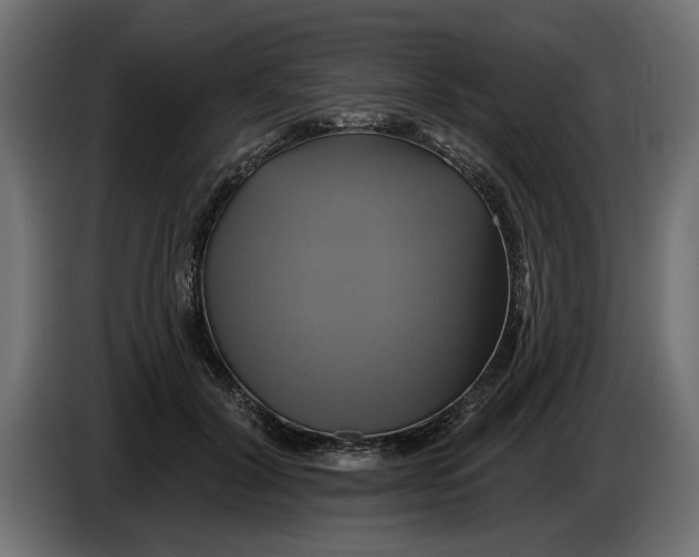 X0000086020604200704131851