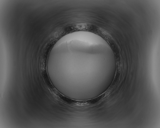 X0000086020606200704131851