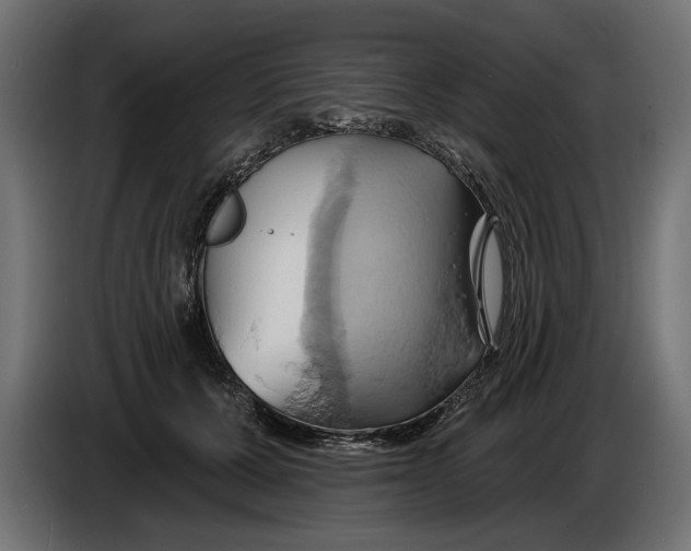 X0000086020607200704131851