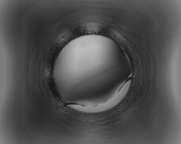 X0000086020608200704131851