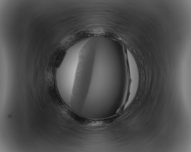 X0000086020609200704131851