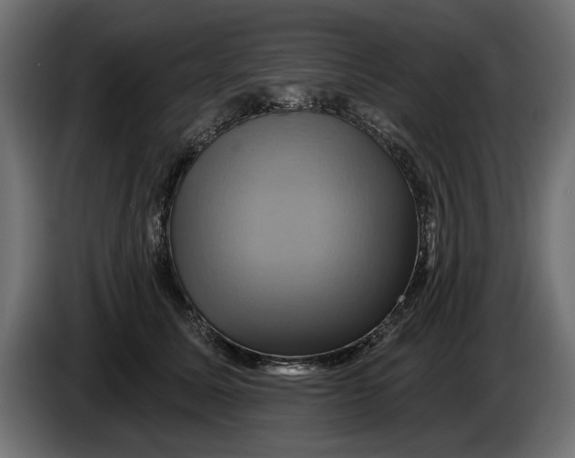 X0000086020611200704131851