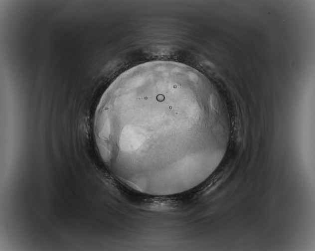 X0000086020612200704131851