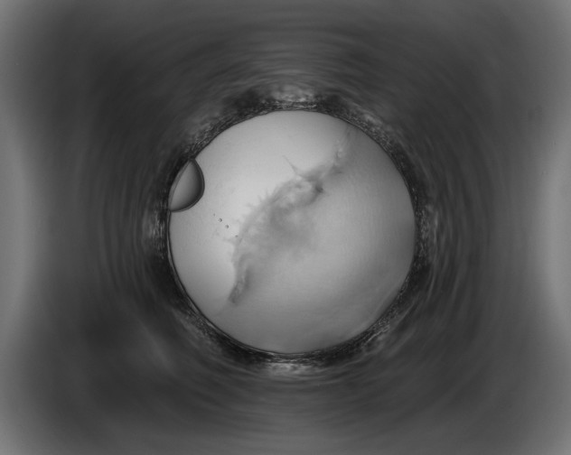 X0000086020614200704131851