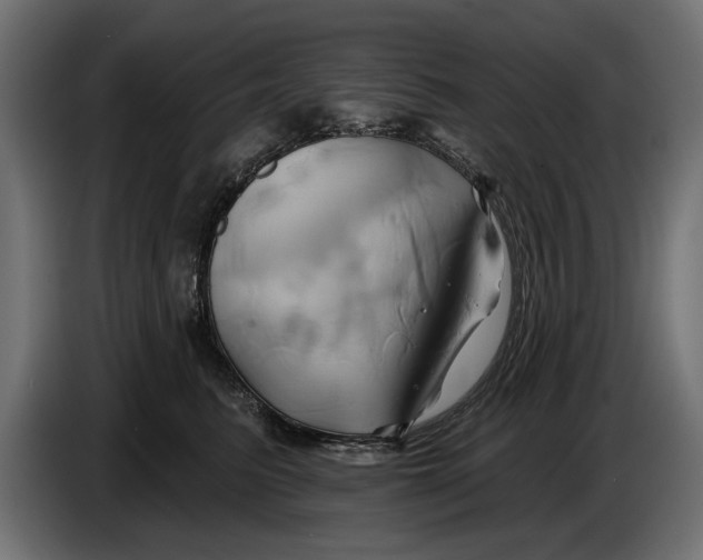X0000086020615200704131851