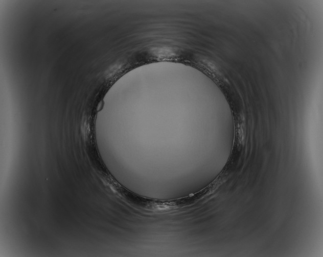 X0000086020618200704131851