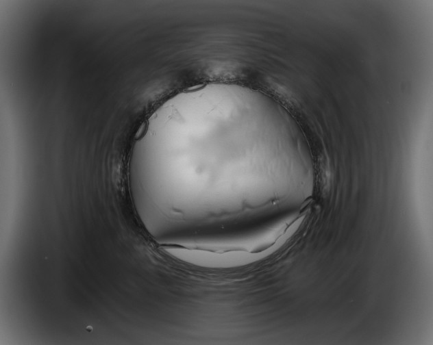 X0000086020619200704131851