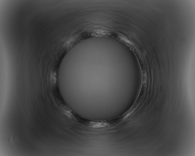 X0000086020621200704131851