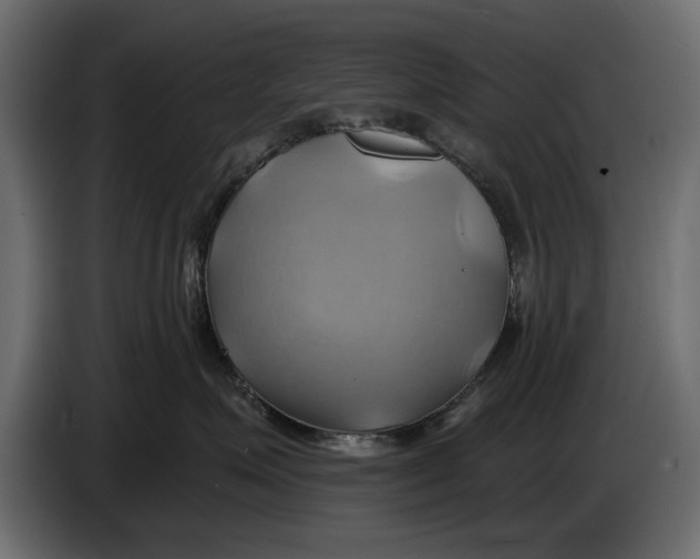 X0000086020623200704131851