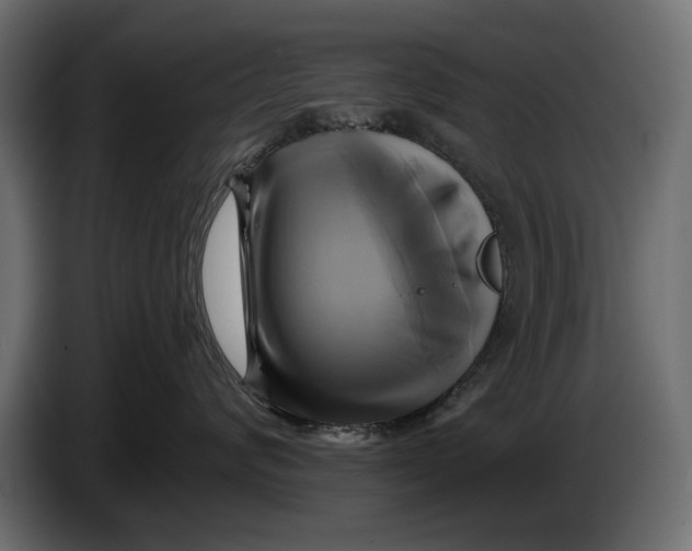 X0000086020624200704131851