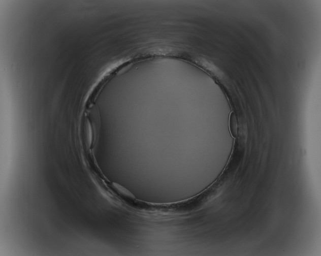 X0000086020626200704131850