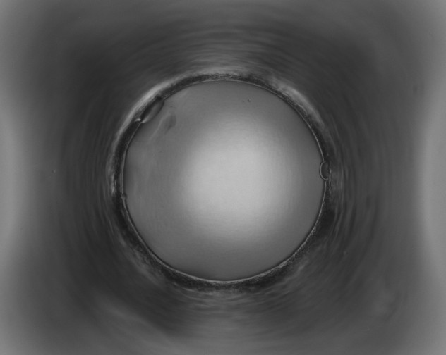 X0000086020628200704131850