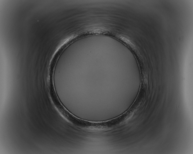 X0000086020630200704131850