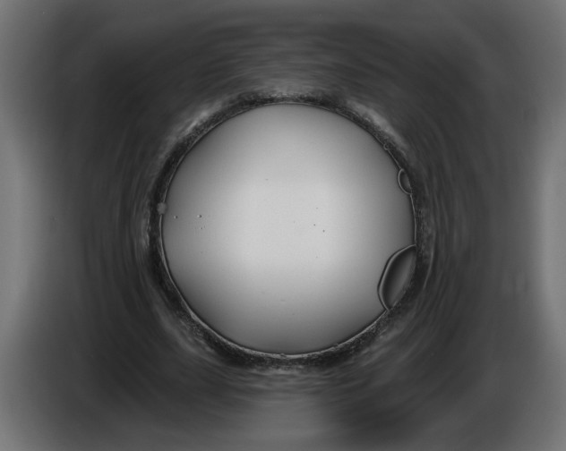 X0000086020631200704131851