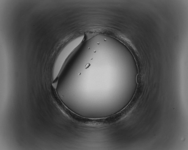 X0000086020633200704131851
