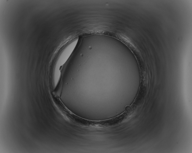 X0000086020634200704131851