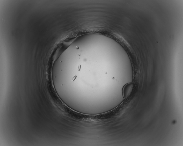 X0000086020635200704131851