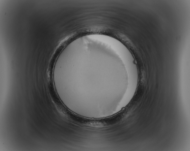 X0000086020636200704131851